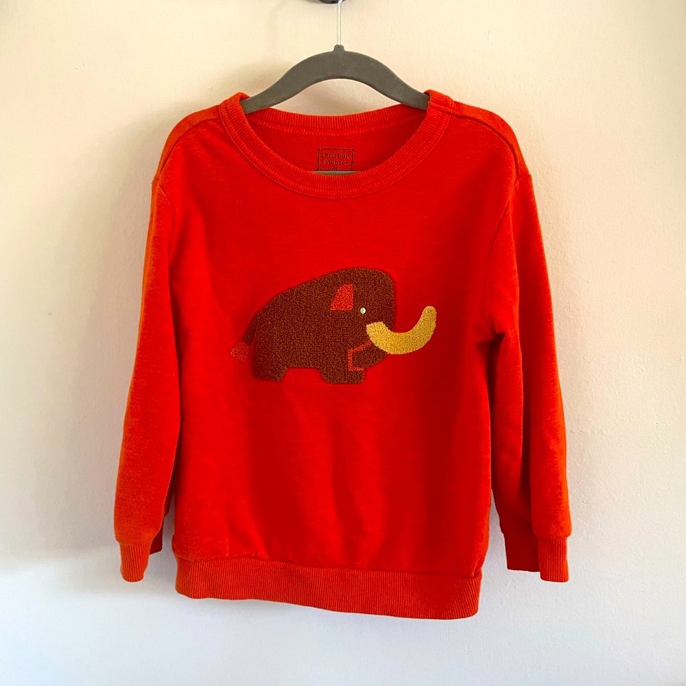 Christian Robinson Buffalo Sweatshirt